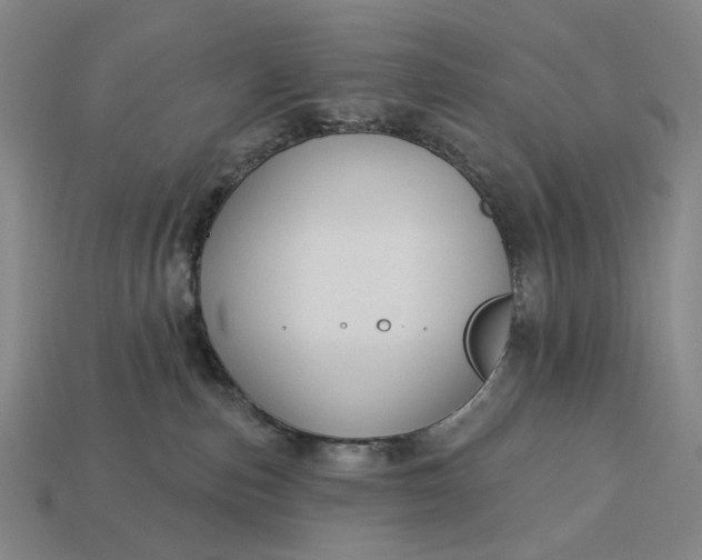 X0000112960187200909101640