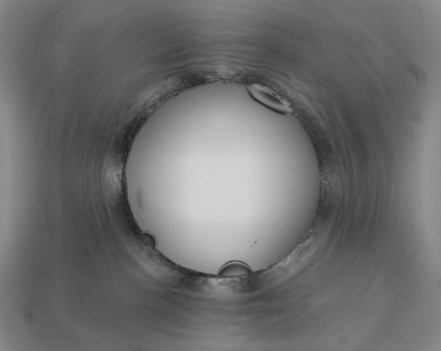 X0000112960188200909101640