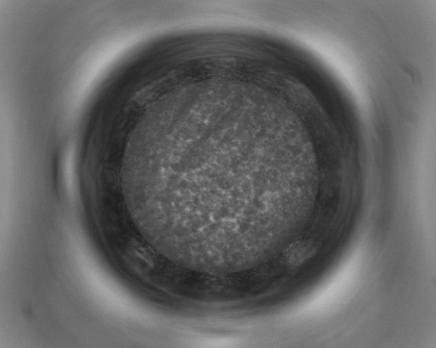 X0000112960189200909101640