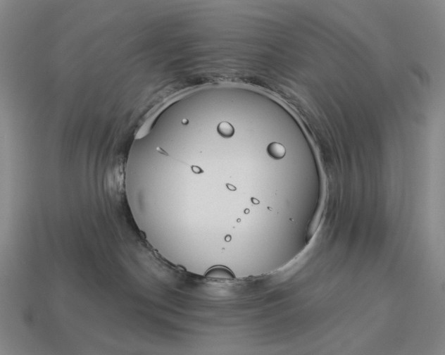 X0000112960190200909101640