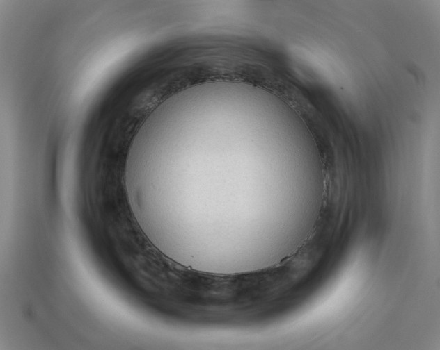 X0000112960191200909101640