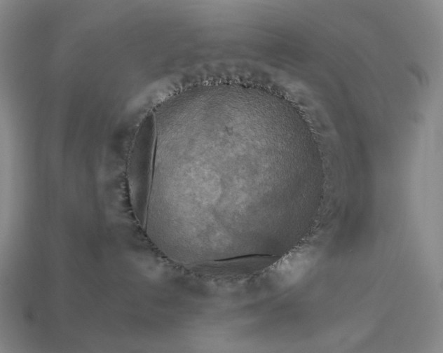 X0000112960192200909101640