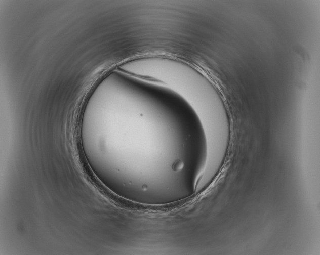 X0000112960193200909101639