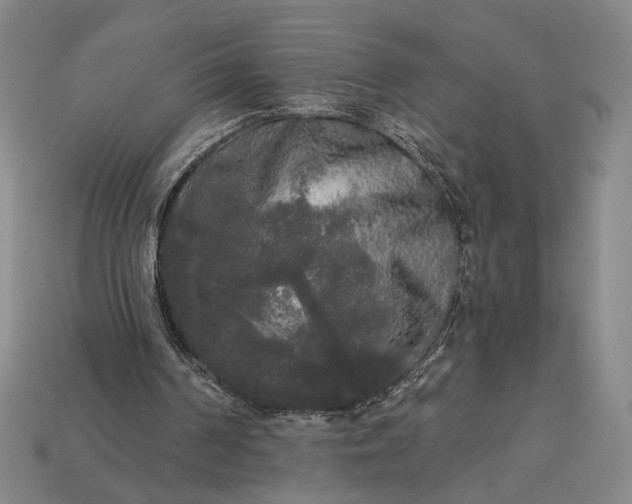 X0000112960194200909101639