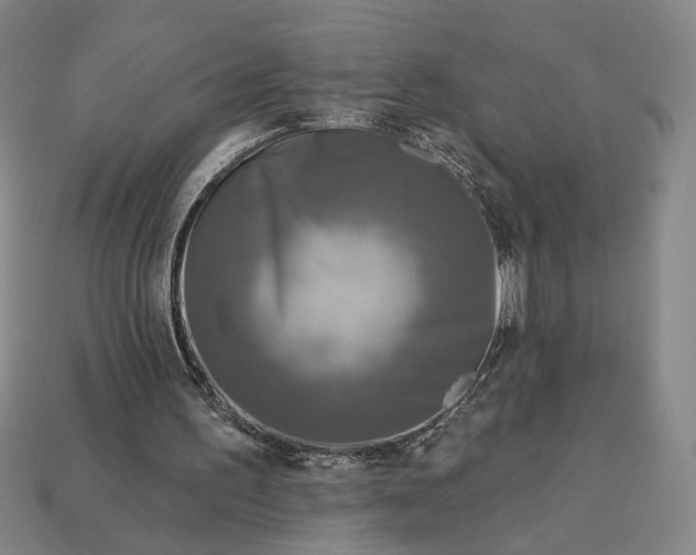 X0000112960195200909101639