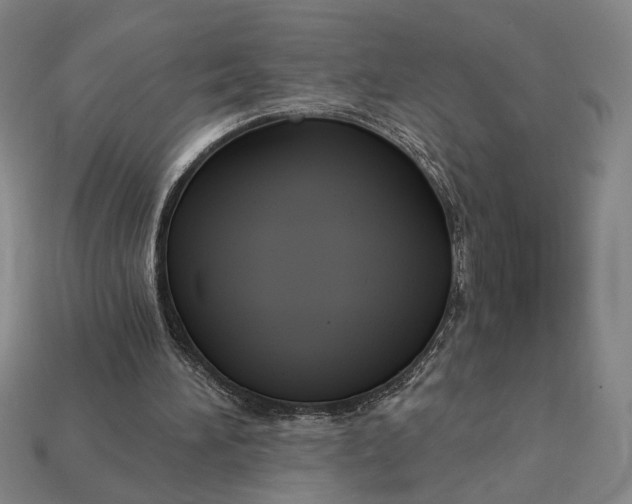 X0000112960196200909101639