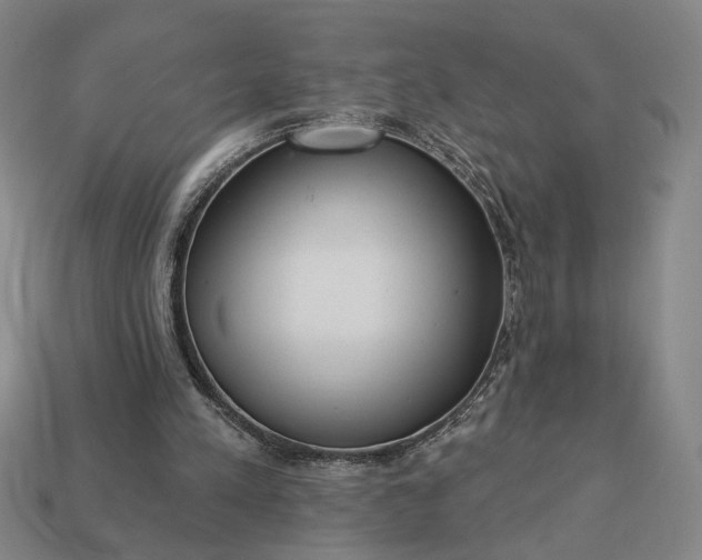 X0000112960197200909101639