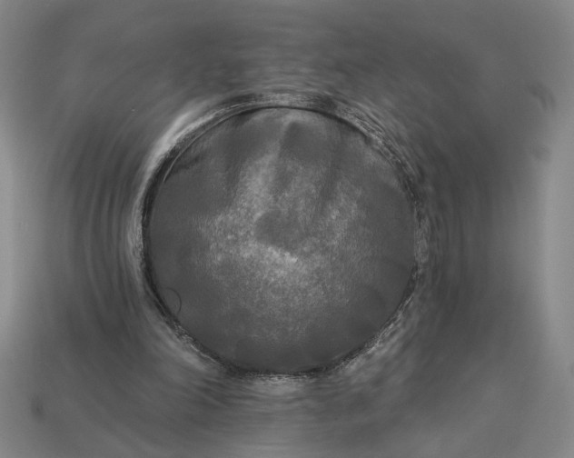 X0000112960198200909101639