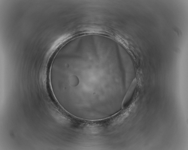 X0000112960199200909101639