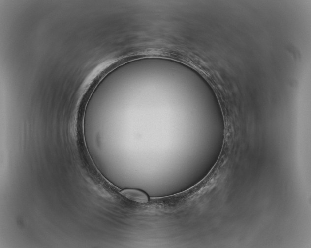 X0000112960200200909101639