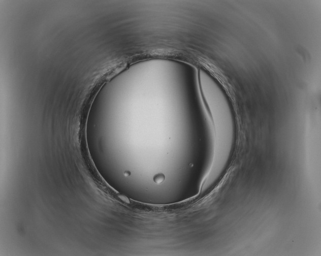 X0000112960201200909101639