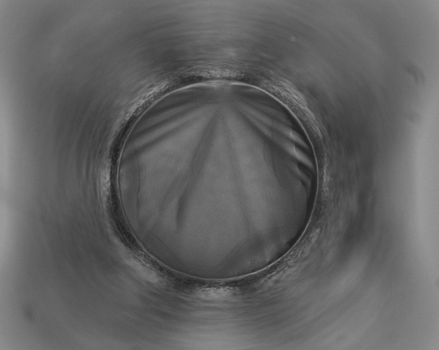 X0000112960202200909101639