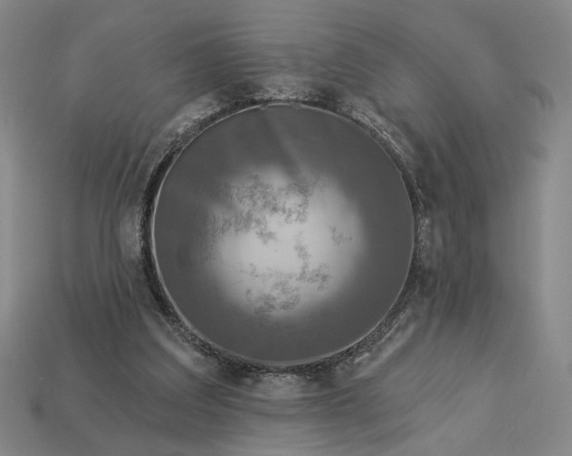 X0000112960203200909101639