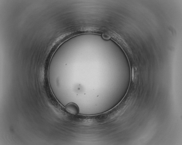 X0000112960204200909101639