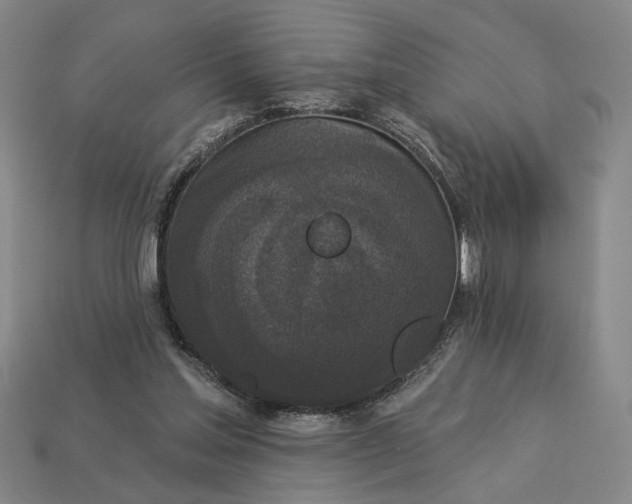 X0000112960205200909101639