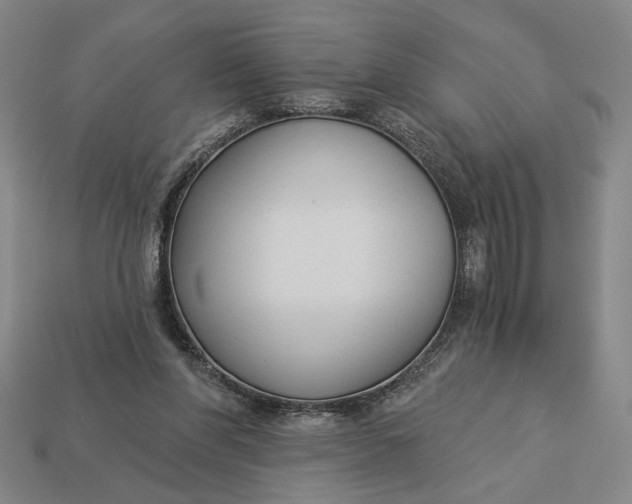 X0000112960206200909101639