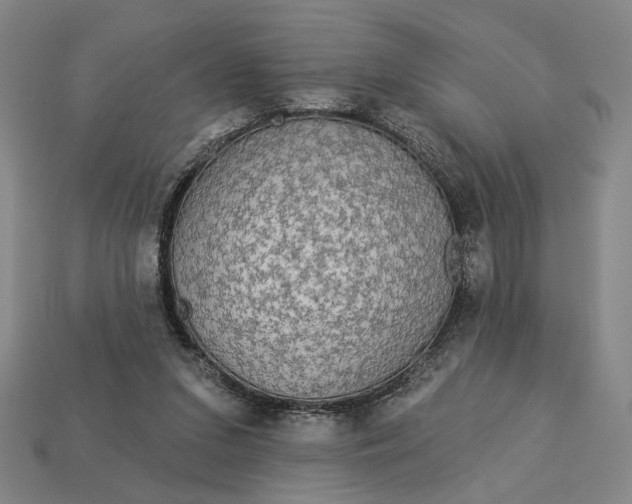 X0000112960207200909101639