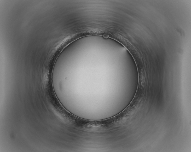 X0000112960208200909101639