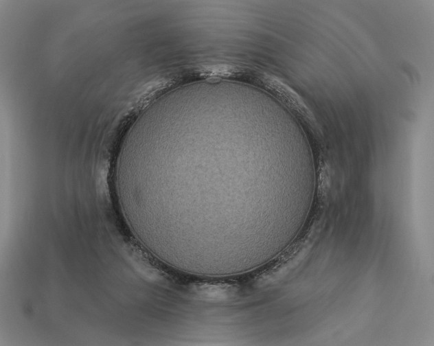 X0000112960209200909101639