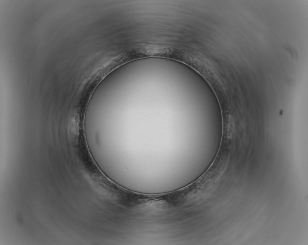 X0000112960210200909101639