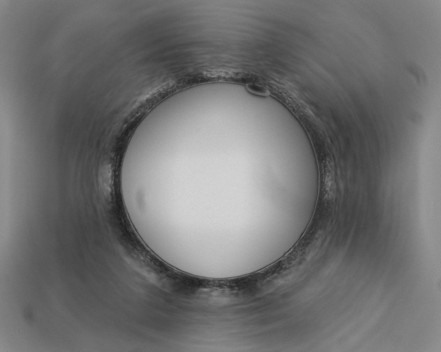 X0000112960211200909101639