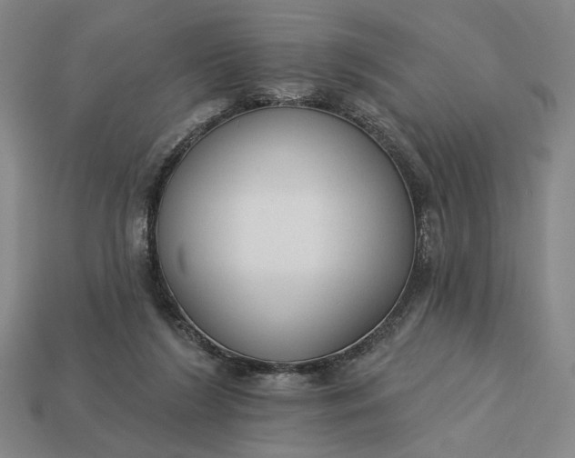 X0000112960212200909101639