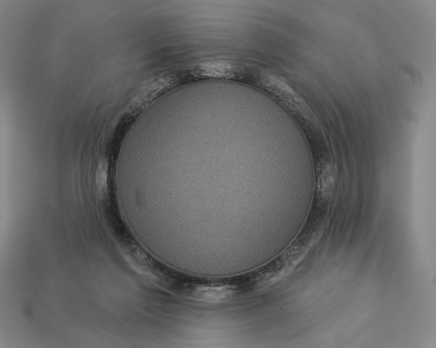 X0000112960213200909101639