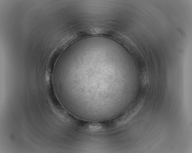 X0000112960214200909101639