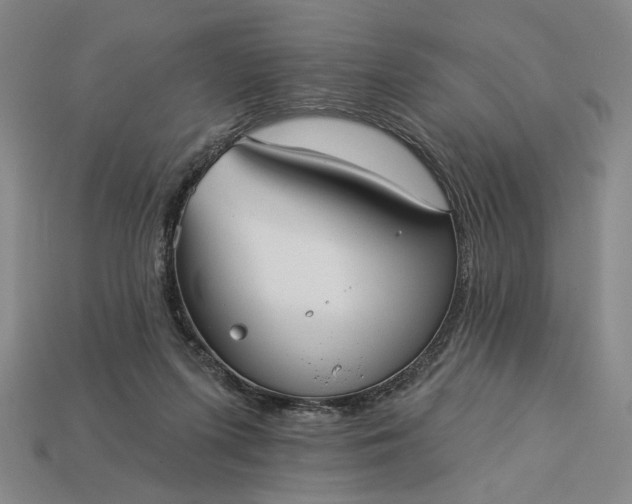 X0000112960215200909101639