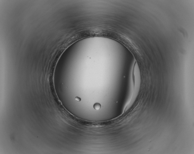 X0000112960217200909101639