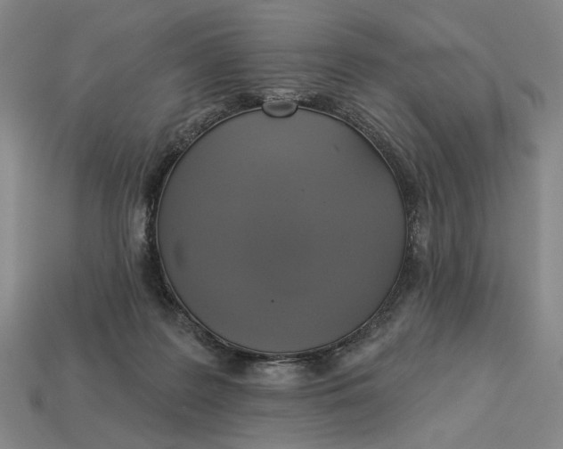 X0000112960219200909101639