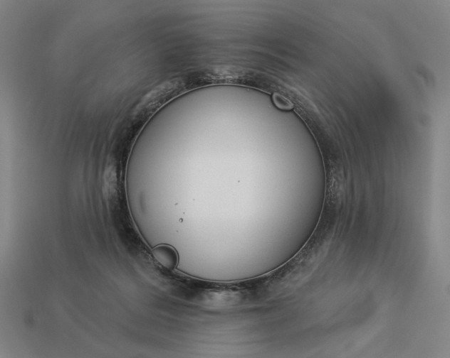 X0000112960220200909101639