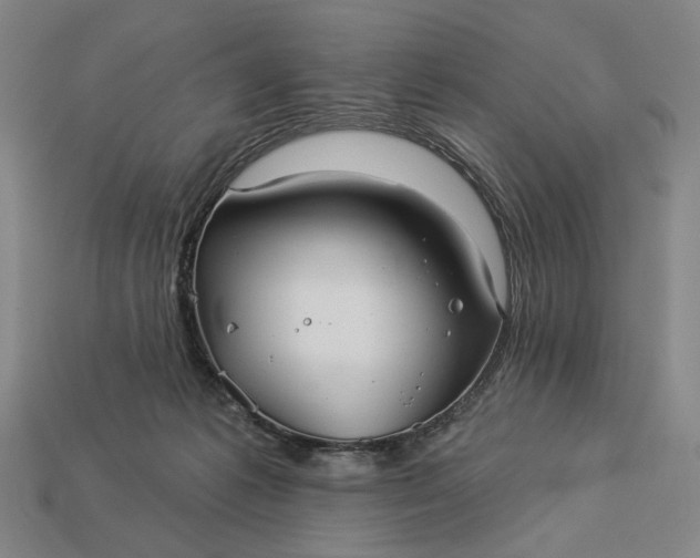 X0000112960221200909101639