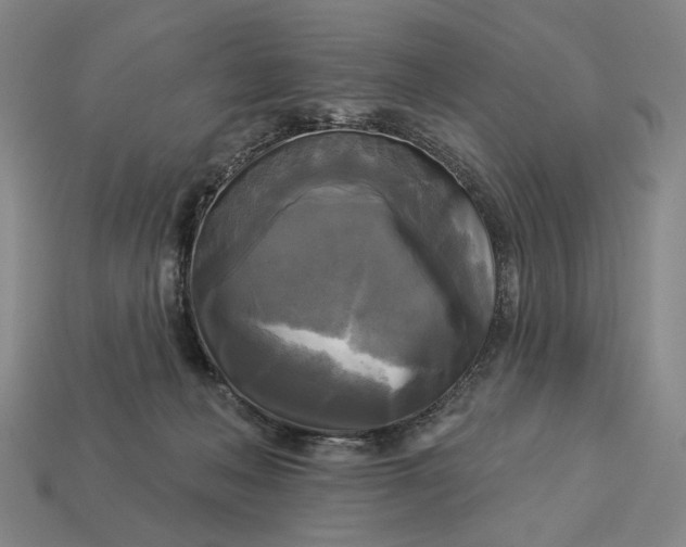 X0000112960222200909101639