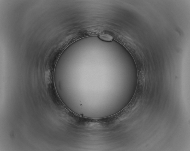 X0000112960224200909101639