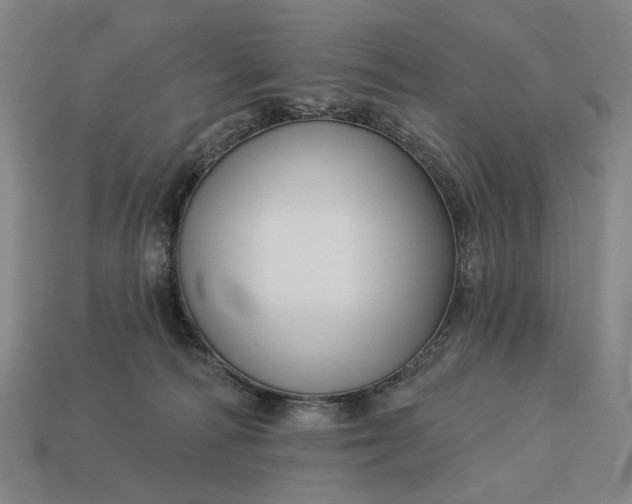 X0000112960226200909101639