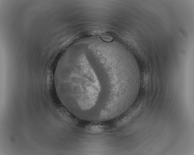 X0000112960228200909101639