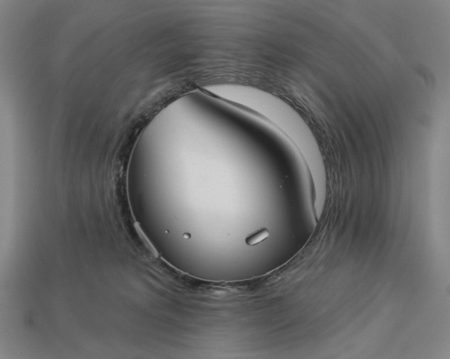 X0000112960229200909101639