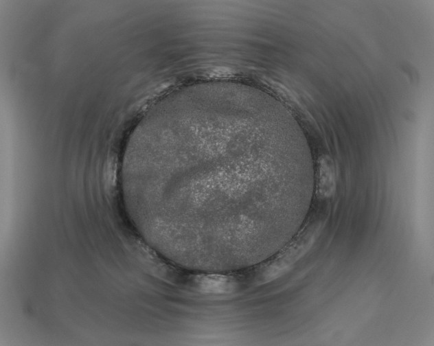 X0000112960230200909101639