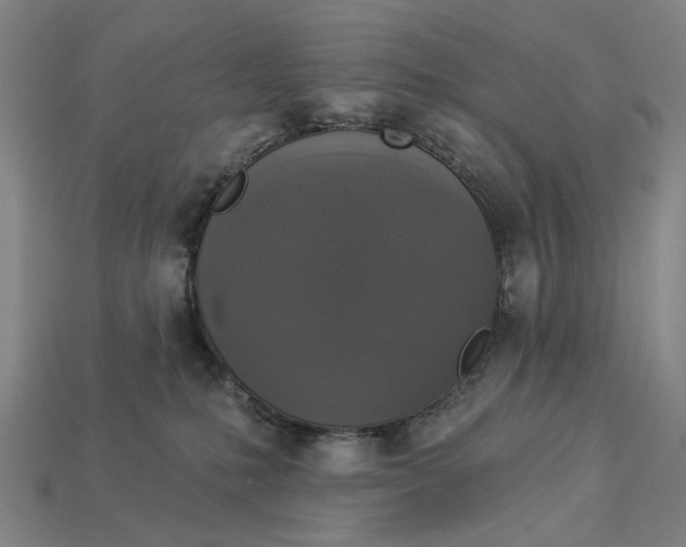 X0000112960231200909101639