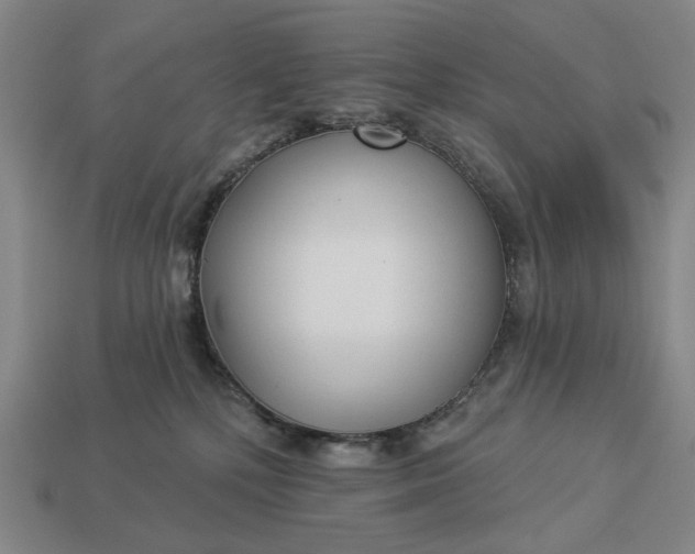 X0000112960232200909101639