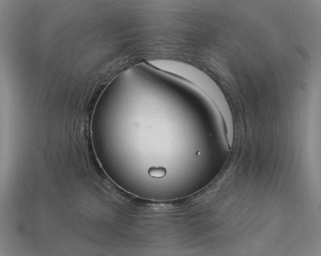 X0000112960233200909101639