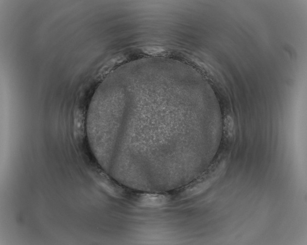 X0000112960234200909101639