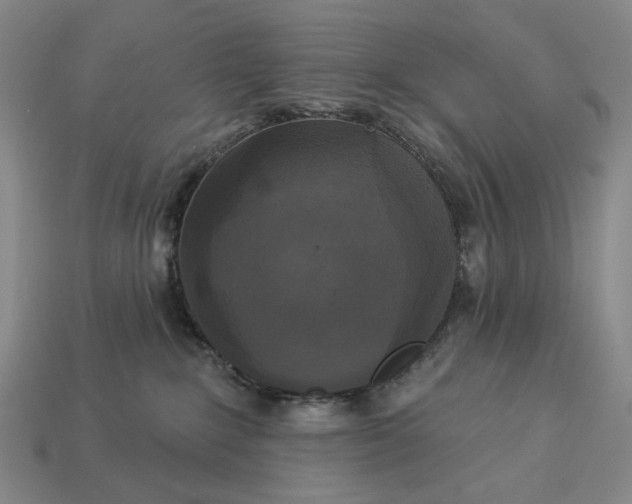 X0000112960235200909101639