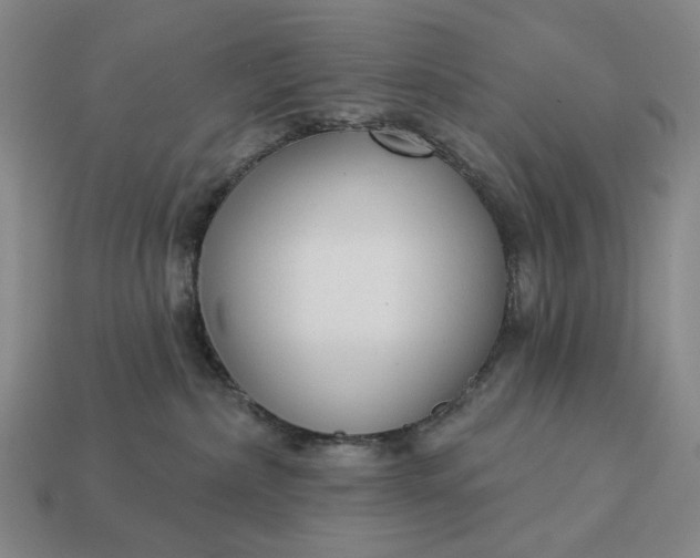 X0000112960236200909101639