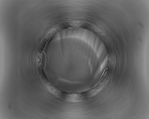 X0000112960237200909101639