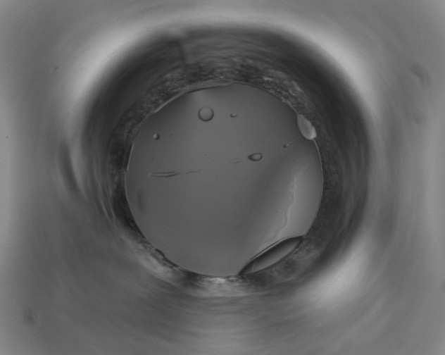 X0000112960239200909101639