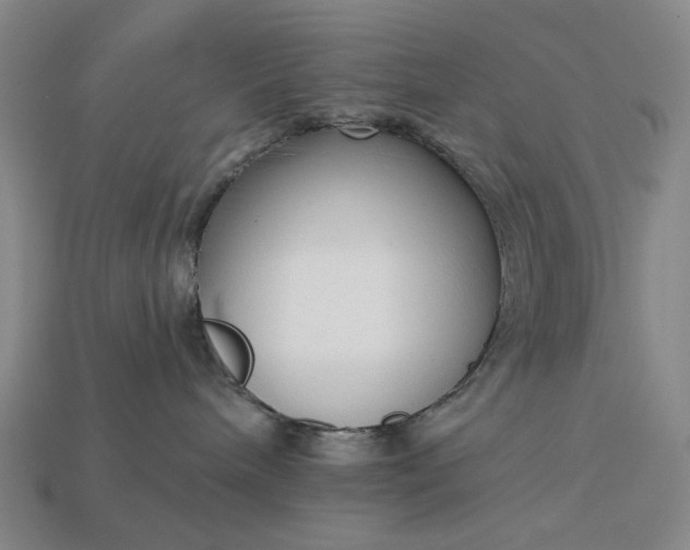 X0000112960240200909101639