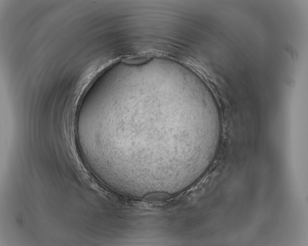 X0000112960241200909101638