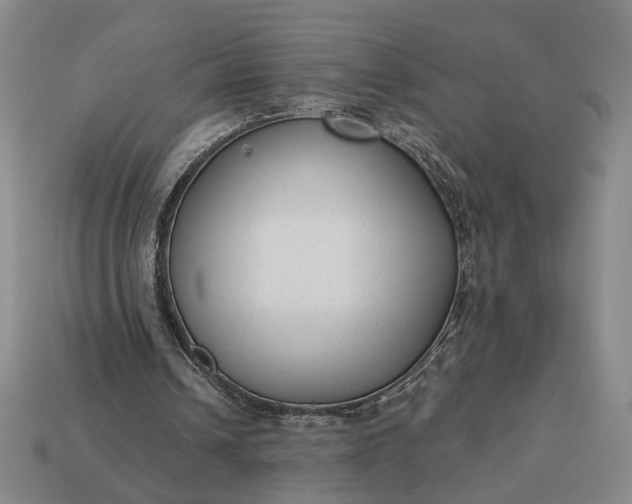 X0000112960242200909101638